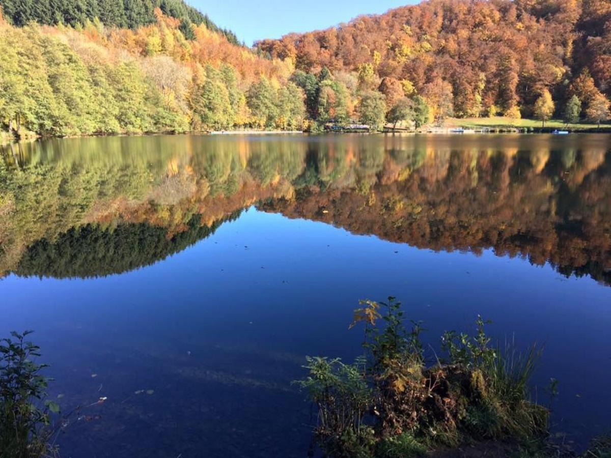 Ferienwohnungen Bauernschmause Polch ภายนอก รูปภาพ